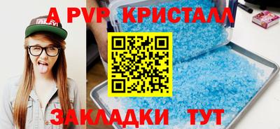 скорость Кингисепп