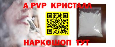 скорость Кингисепп