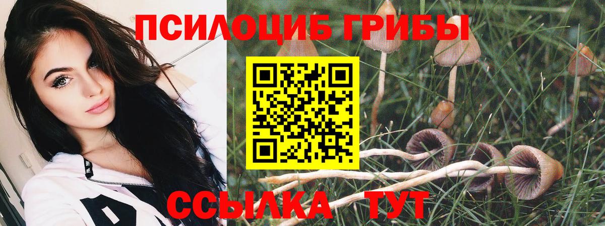 Псилоцибиновые грибы Psilocybine cubensis Благовещенск